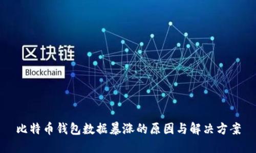 比特币钱包数据暴涨的原因与解决方案
