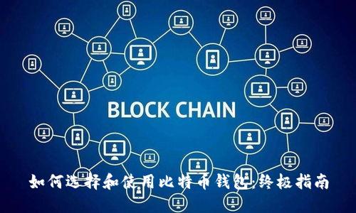 如何选择和使用比特币钱包：终极指南