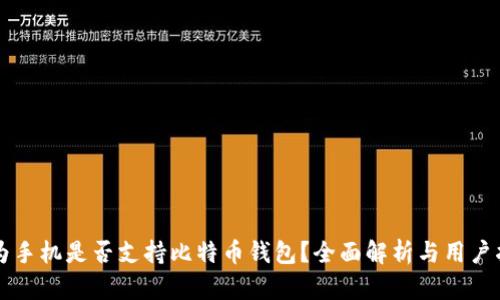 华为手机是否支持比特币钱包？全面解析与用户指南