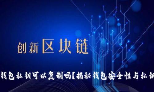 小狐钱包私钥可以复制吗？揭秘钱包安全性与私钥管理