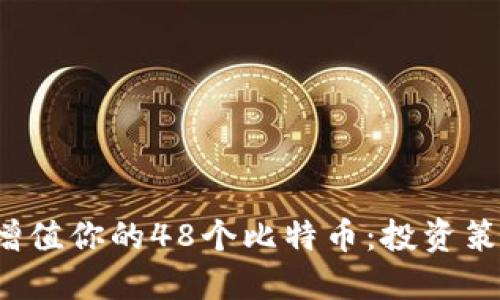  如何管理和增值你的48个比特币：投资策略与实用技巧