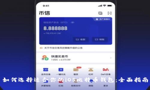 如何选择适合你的iOS比特币钱包：全面指南