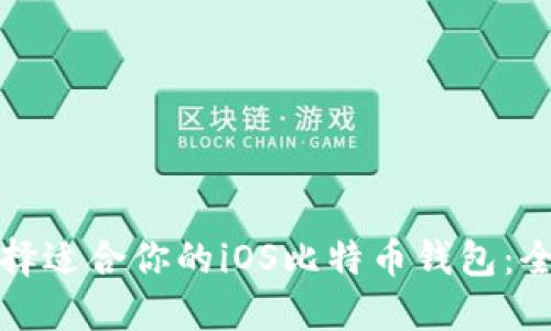 如何选择适合你的iOS比特币钱包：全面指南