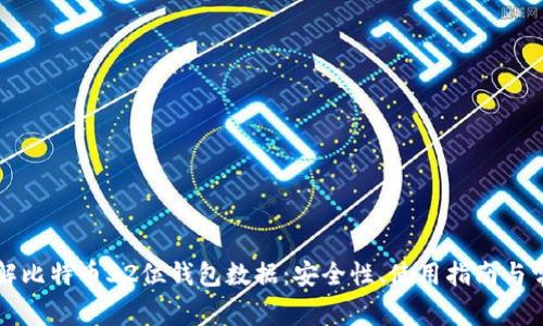 深入了解比特币32位钱包数据：安全性、使用指南与常见问题