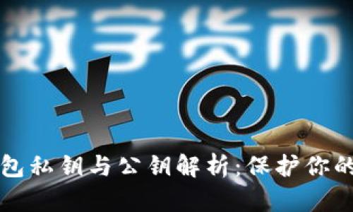 比特币钱包私钥与公钥解析：保护你的数字资产