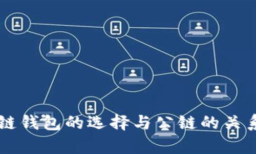 区块链钱包的选择与公链的关系解析
