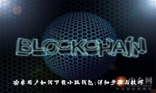 安卓用户如何下载小狐钱包：详细步骤与技巧
