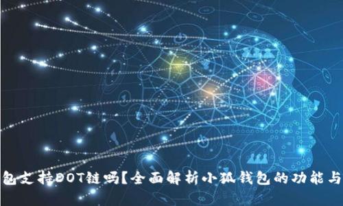 小狐钱包支持DOT链吗？全面解析小狐钱包的功能与兼容性