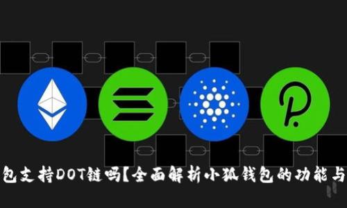 小狐钱包支持DOT链吗？全面解析小狐钱包的功能与兼容性
