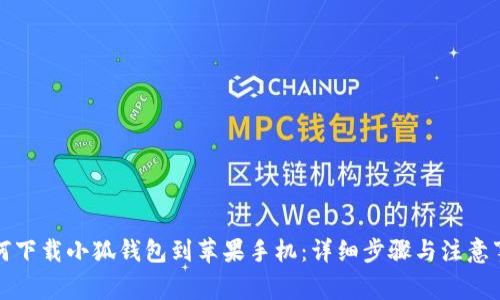 如何下载小狐钱包到苹果手机：详细步骤与注意事项