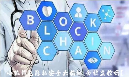 
小狐钱包隐私安全大揭秘：会被监控吗？
