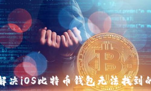   
如何解决iOS比特币钱包无法找到的问题