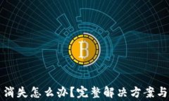 小狐钱包代币消失怎么办