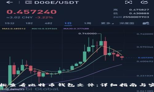 如何轻松查看比特币钱包文件：详细指南与实用技巧