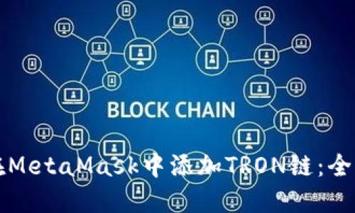 如何在MetaMask中添加TRON链：全面指南
