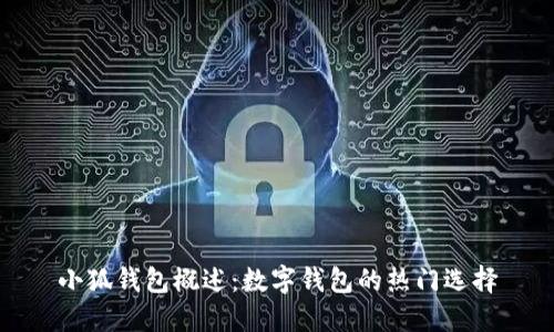 小狐钱包概述：数字钱包的热门选择