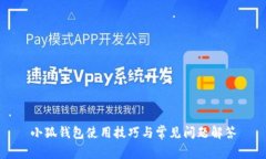 小狐钱包使用技巧与常见