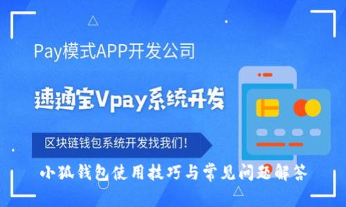 小狐钱包使用技巧与常见问题解答