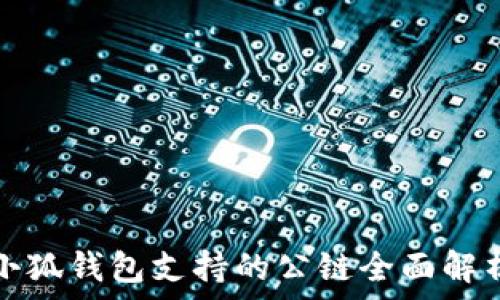   
小狐钱包支持的公链全面解析
