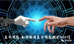麦子钱包：如何利用麦子
