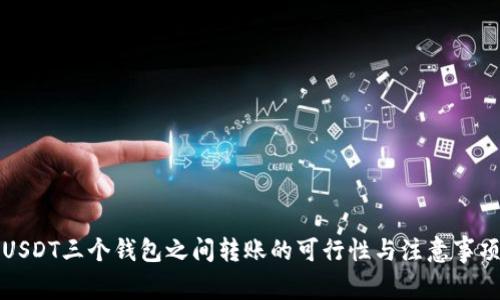 USDT三个钱包之间转账的可行性与注意事项
