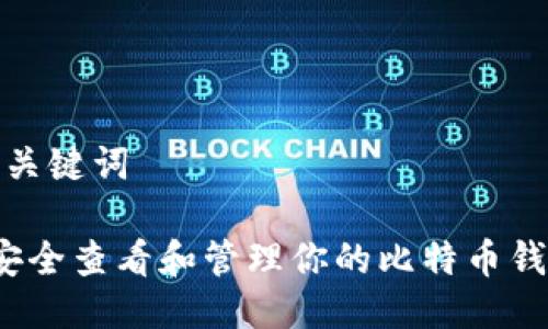 思考及关键词 

 如何安全查看和管理你的比特币钱包余额
