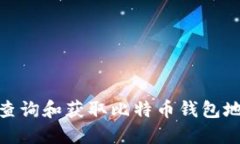 : 如何安全地查询和获取比