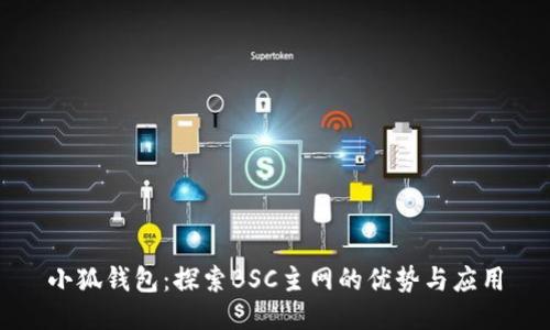 小狐钱包：探索BSC主网的优势与应用