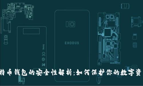 比特币钱包的安全性解析：如何保护你的数字资产？
