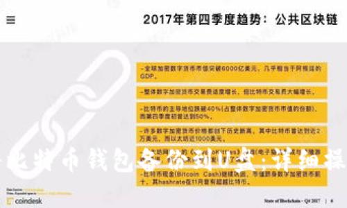 如何将比特币钱包备份到U盘：详细操作指南