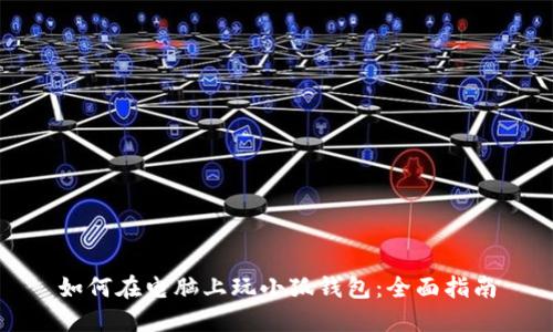 如何在电脑上玩小狐钱包：全面指南