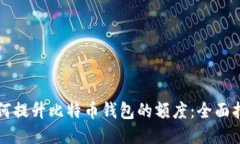如何提升比特币钱包的额