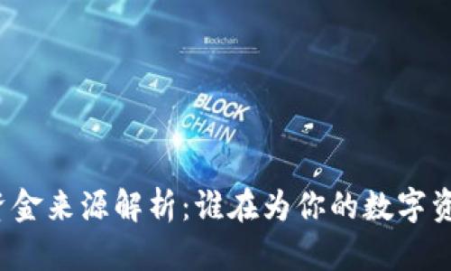 小狐钱包的资金来源解析：谁在为你的数字资产保驾护航？