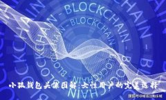 小狐钱包头像图解：女性
