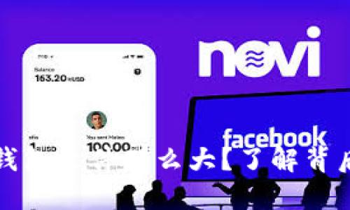 为什么区块链钱包文件那么大？了解背后的原因和影响