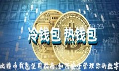 Vivo比特币钱包使用指南：