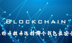 比特币提币选择哪个钱包