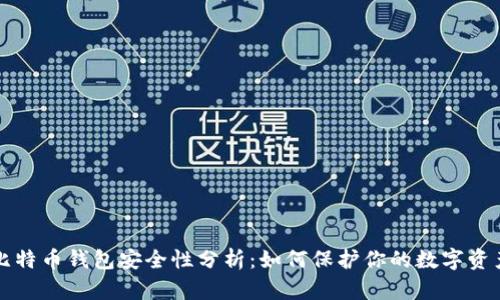 比特币钱包安全性分析：如何保护你的数字资产