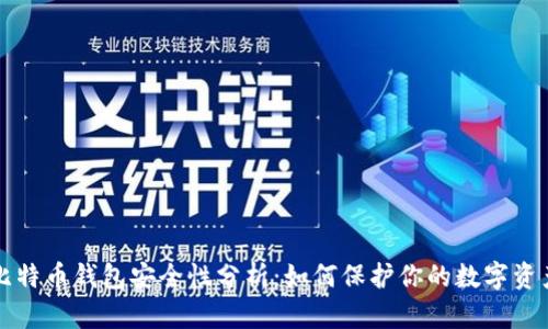 比特币钱包安全性分析：如何保护你的数字资产