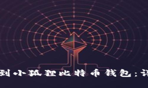 如何找到小狐狸比特币钱包：详尽指南