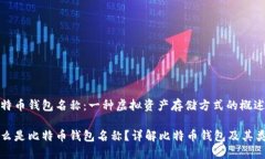 比特币钱包名称：一种虚
