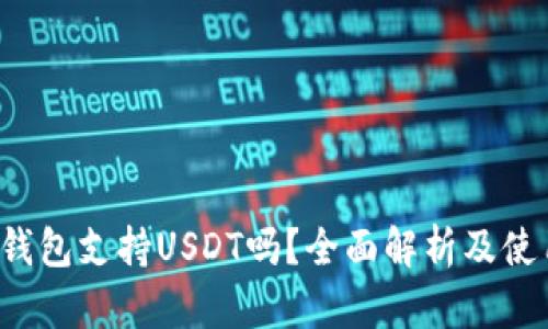  极客钱包支持USDT吗？全面解析及使用指南