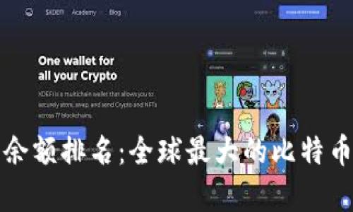 比特币钱包余额排名：全球最大的比特币持有者揭秘