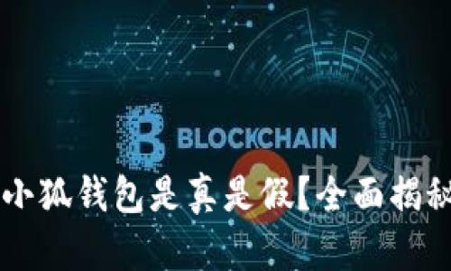 中本聪小狐钱包是真是假？全面揭秘与分析