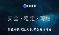 掌握小狐钱包风水，助你