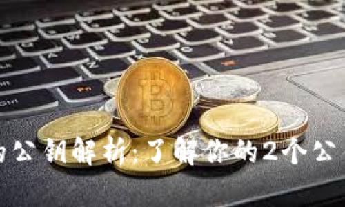 比特币钱包的公钥解析：了解你的2个公钥及其重要性