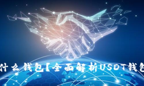 : USDT属于什么钱包？全面解析USDT钱包类型与选择