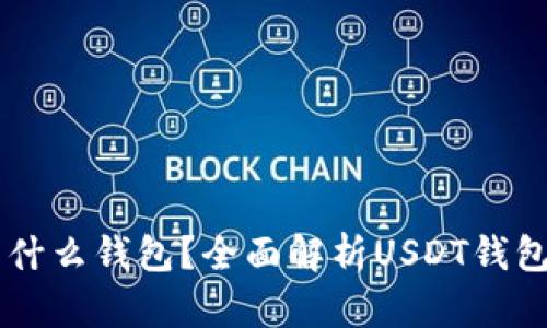 : USDT属于什么钱包？全面解析USDT钱包类型与选择