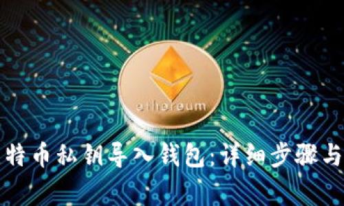 如何将比特币私钥导入钱包：详细步骤与注意事项