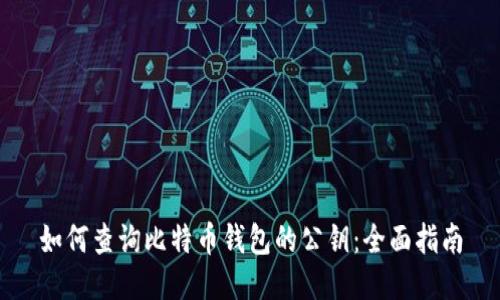 如何查询比特币钱包的公钥：全面指南